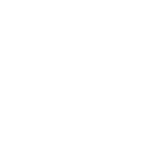 WordPress Security